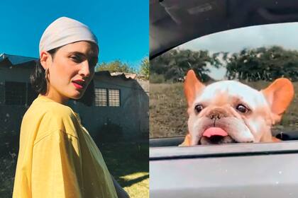 La actriz fustigó a una seguidora que la criticó por su mascota.