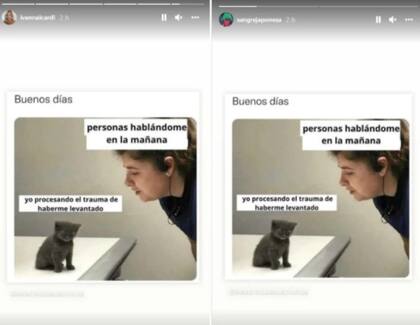 La actriz y la influencer subieron un meme al mismo tiempo.