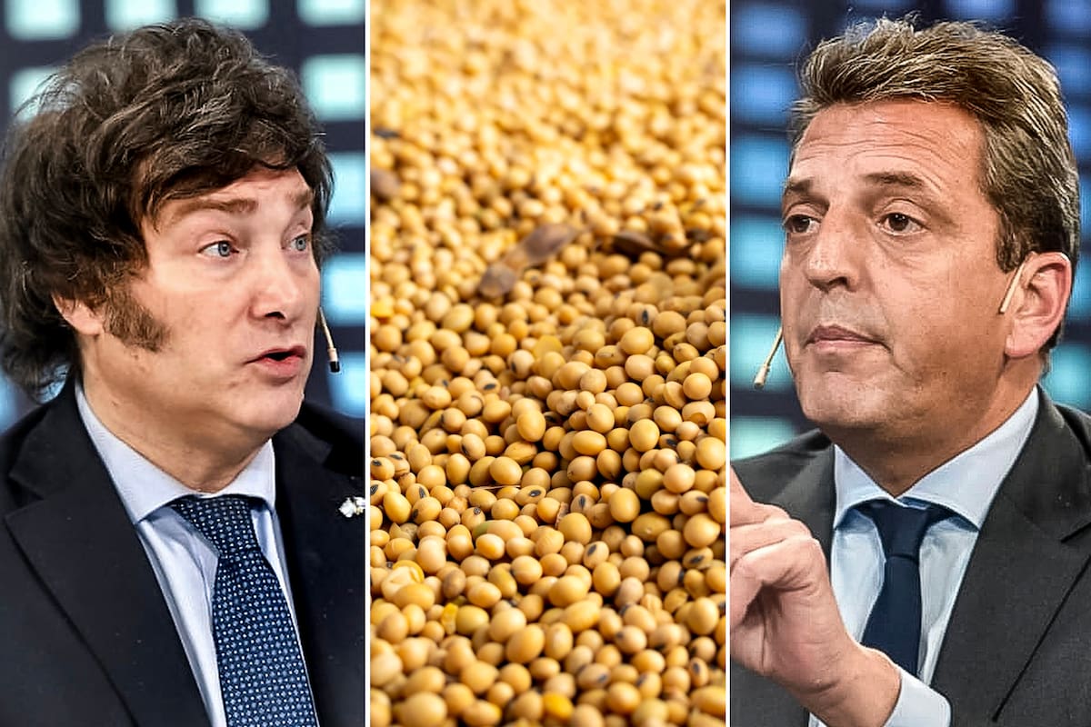 La actual dirección del Banco Central, que llegó con Javier Milei, prorrogó una medida que la entidad tomó después de asumir el exministro Sergio Massa