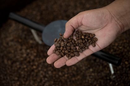 La Administración de Alimentos y Medicamentos ha citado 400 miligramos por día (unas cuatro o cinco tazas de café) como una cantidad segura para los adultos