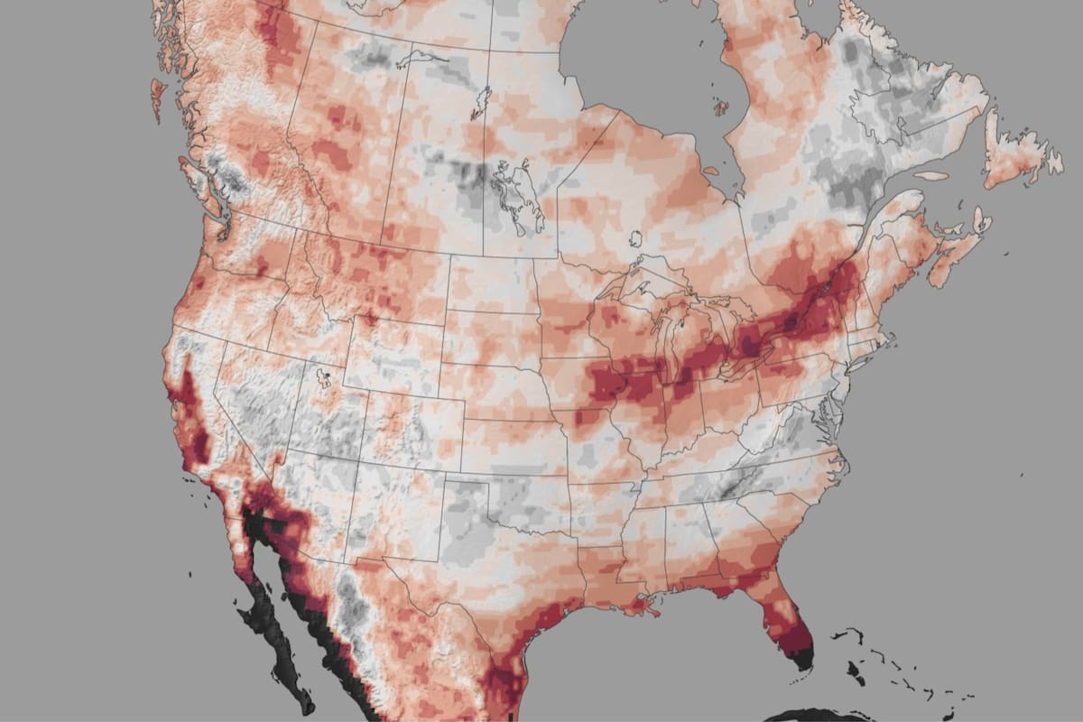 La Administración Nacional Oceánica y Atmosférica presentó mapas que ofrecen información sobre dónde podría acumularse la nieve