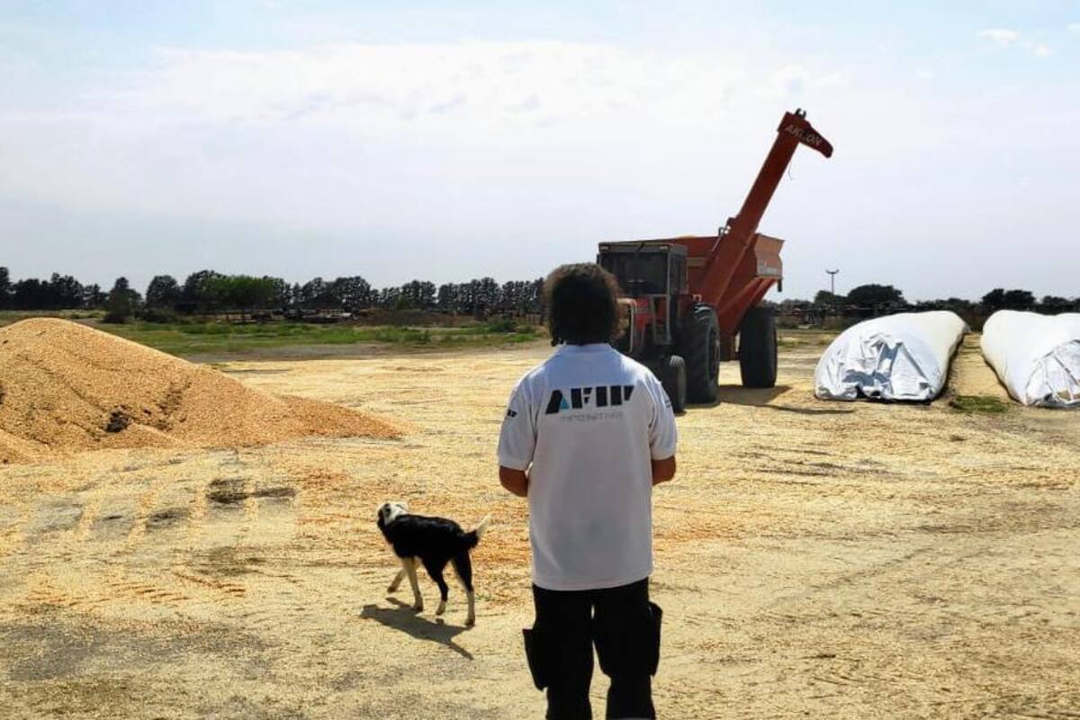 La Aduana suspendió a 59 empresas exportadoras por no liquidar divisas