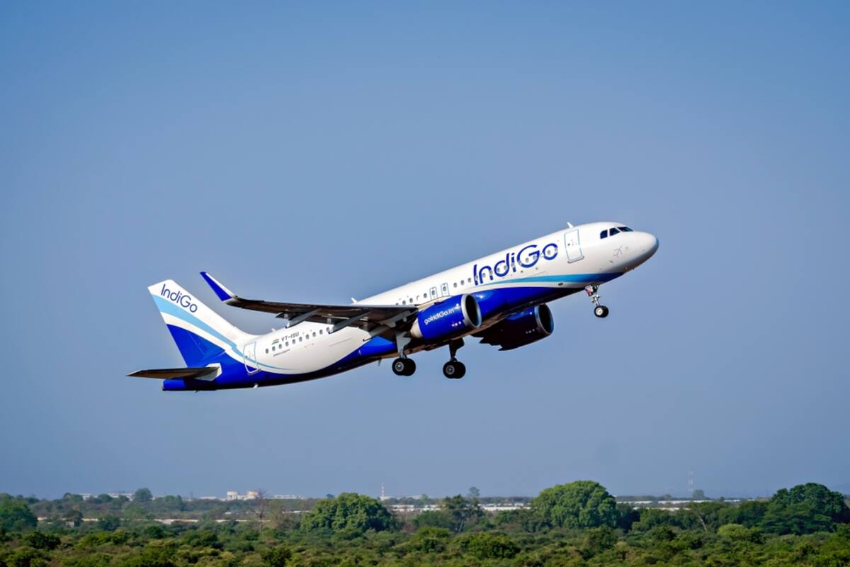 La aerolínea implementará la curiosa medida a partir de agosto.
