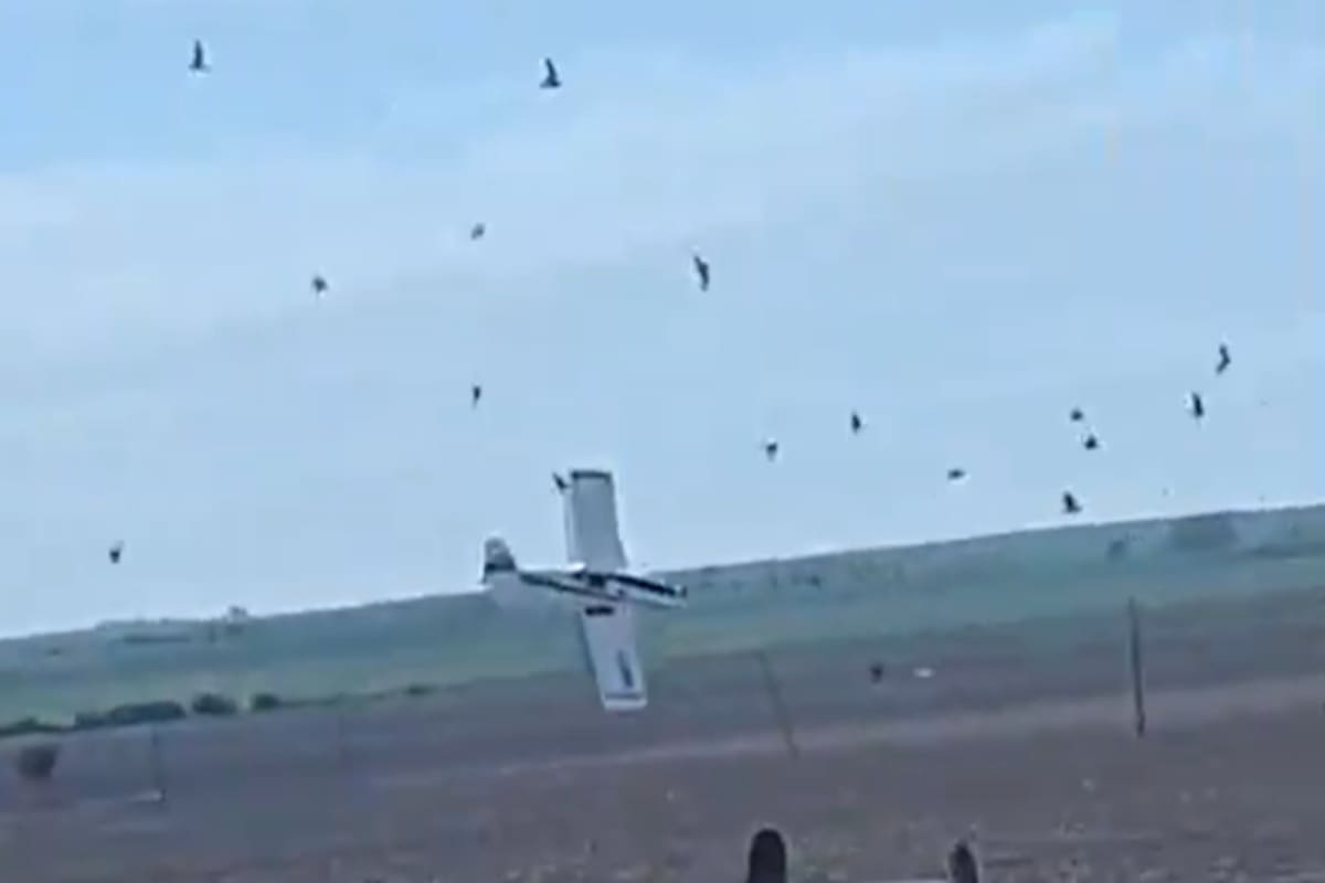 La aeronave chocó de lleno contra la tierra
