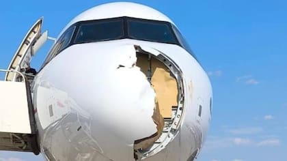 La aeronave sufrió el impacto de un ave de grandes dimensiones minutos después del despegue