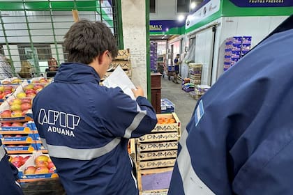 La AFIP-Aduana en una inspección al Mercado Central, luego de que se anunciara que iba a importar alimentos