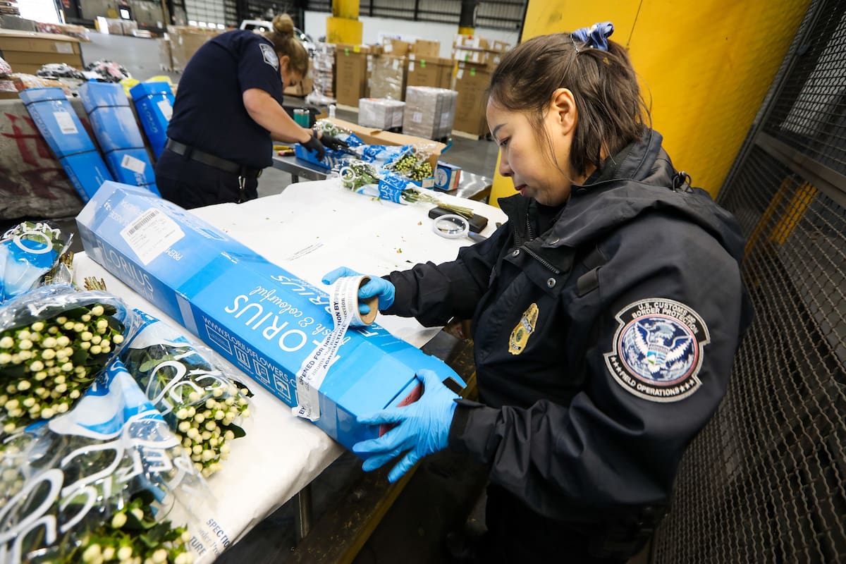 La agencia señala que en esta época del año se observa un aumento repentino en la importación de flores