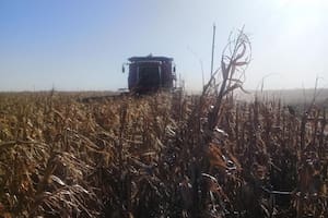 La hoja de ruta para llegar a otra cosecha récord