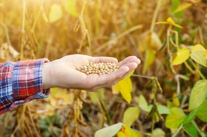 “La agricultura es uno de los sectores más afectados por el cambio climático y, al mismo tiempo, esencial para la solución de los desafíos vinculados al clima, a través de prácticas de mitigación y adaptación en nuestras cadenas productivas”, dijeron