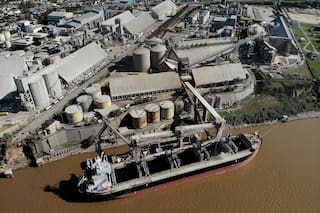 En julio la agroexportación liquidó US$2918 millones, un 3% menos, y anticipan cómo serán los próximos meses