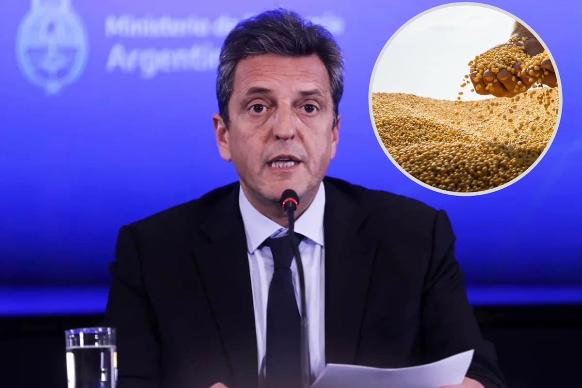 La agroexportación ya le acercó al ministro de Economía, Sergio Massa, US$3654 millones