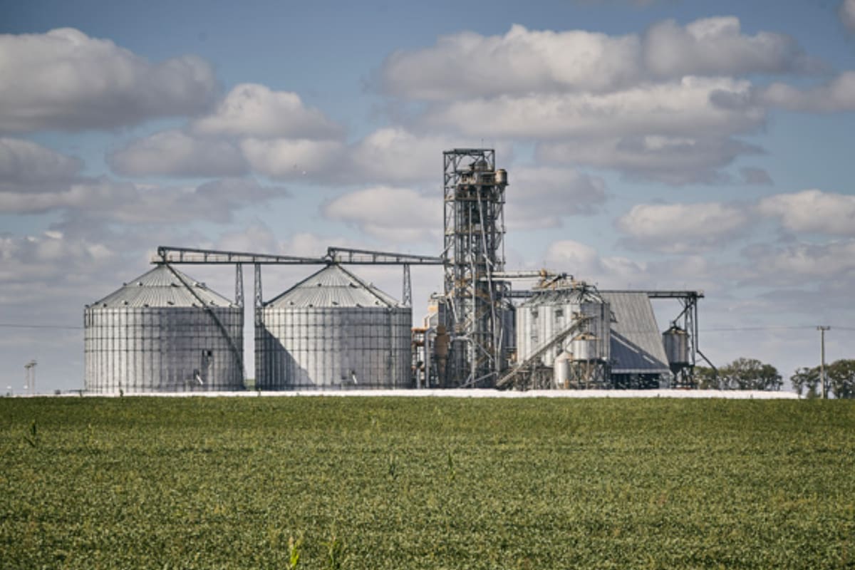 La agroindustria en 2025 representó el 60% del total exportado y tuvo un crecimiento del 9% respecto de 2024