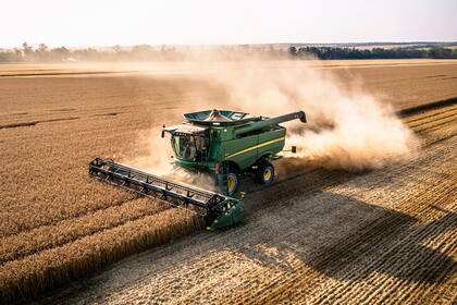 La agroindustria se perfila como uno de los grandes ganadores de la producción argentina