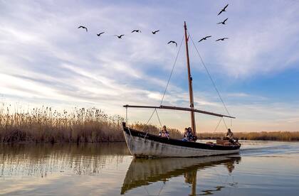 La albufera de Valencia es una de las cuatro de este tipo en el mundo.
