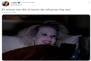 La alegría por haber sido adjudicado con el nuevo Refuerzo de Ingresos de Anses fue un tema repetido en los memes de Twitter