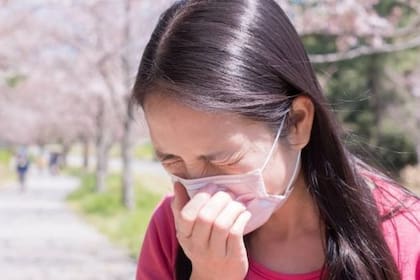 La alergia al polen afecta al 42,5% de la población de Japón, según datos oficiales de 2019. Los peores meses son marzo y abril (FOTO: GETTY)