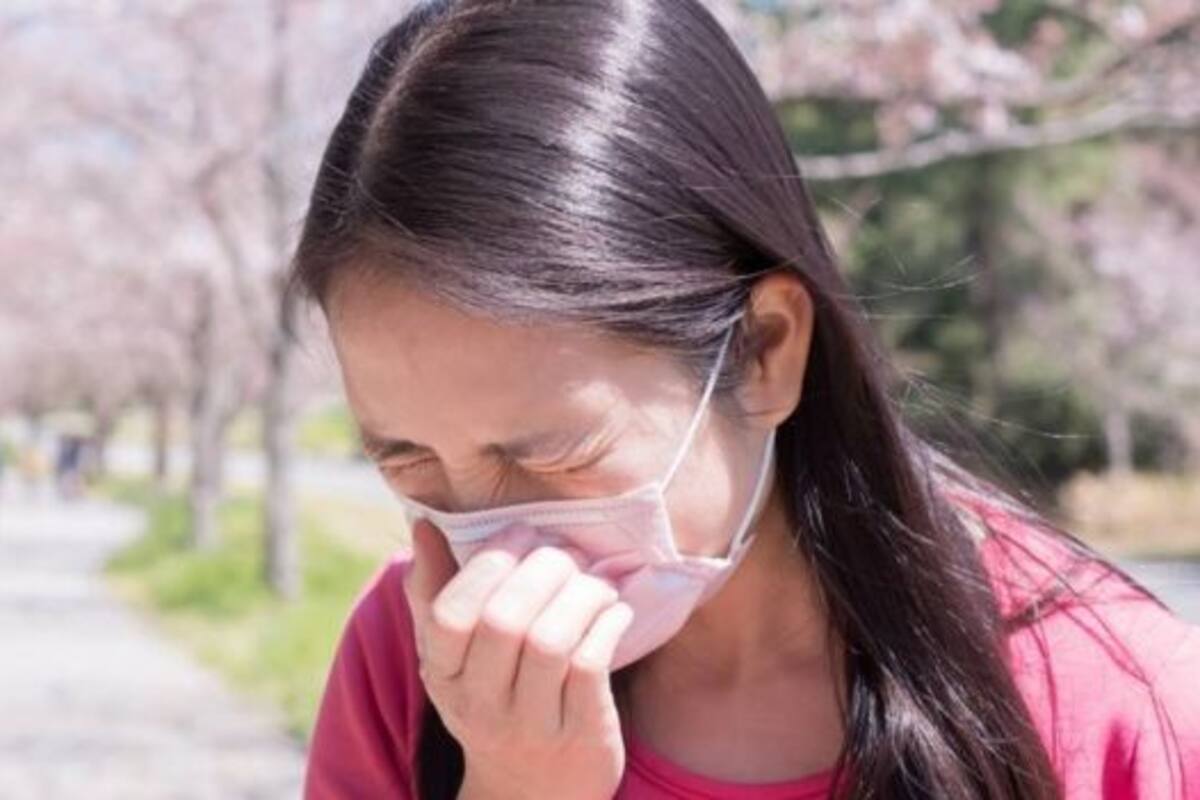 La alergia al polen afecta al 42,5% de la población de Japón, según datos oficiales de 2019. Los peores meses son marzo y abril (FOTO: GETTY)