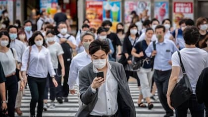 La alergia al polen o "kafunsho" causa al año pérdidas económicas de al menos US$2200 millones en Japón, según la Agencia Forestal de ese país (FOTO: GETTY)
