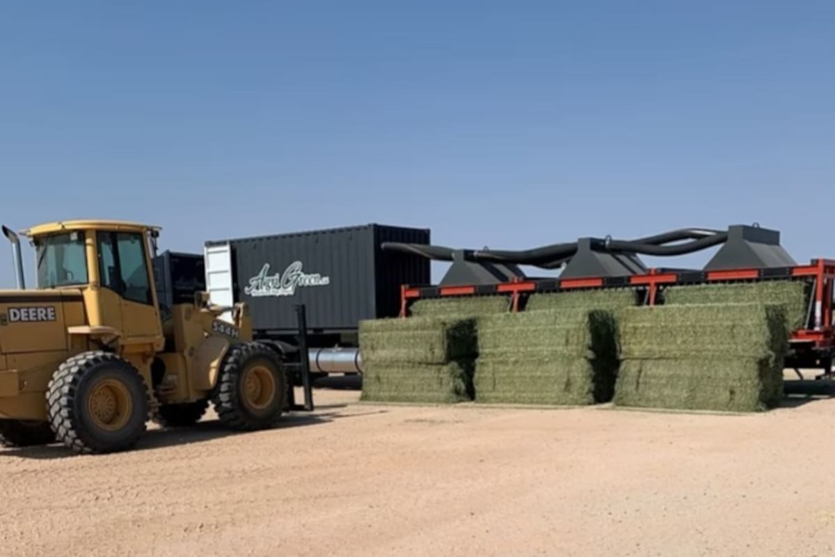 La alfalfa argentina llega al mundo