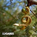 El inesperado destino de la algarroba en un concurso internacional