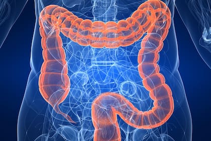 La alimentación es una de las principales claves para la prevención de enfermedades en el colon