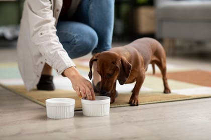 La alimentación también es un factor clave a tener en cuenta.