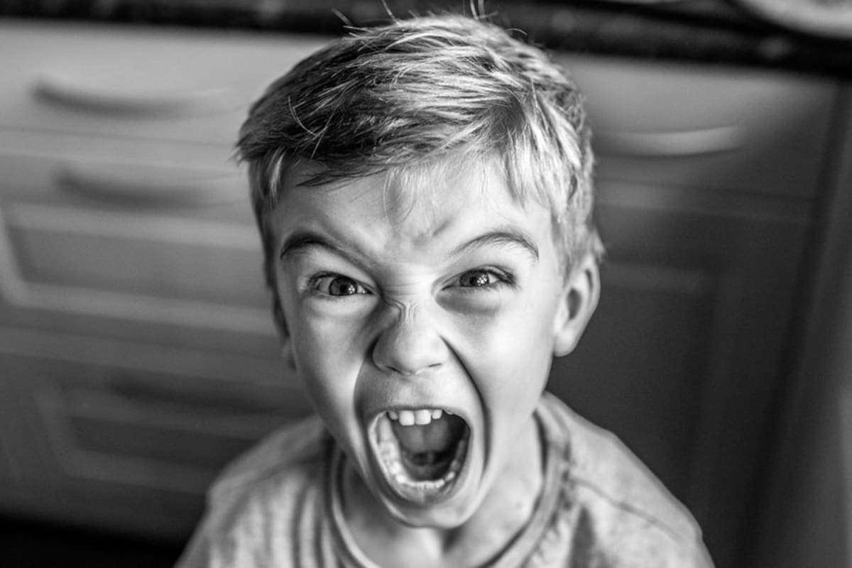 La alquimia de las emociones es el proceso de transformación que experimentan los seres humanos entendiendo todas sus emociones