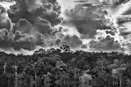 La Amazonia en llamas. "La gestión de Bolsonaro fue un desastre que afectará a todo el planeta". © Sebastião Salgado