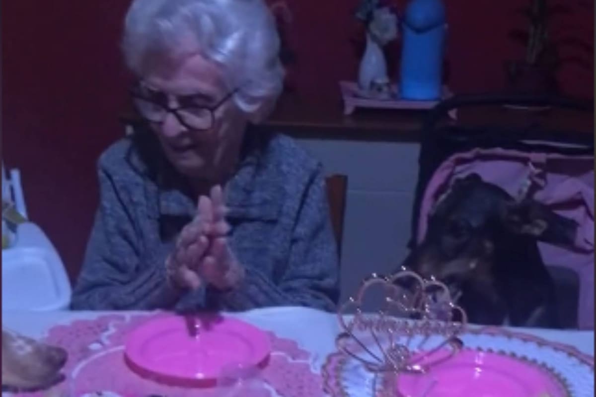 La anciana organizó un particular festejo con sus perros y se hizo viral en TikTok