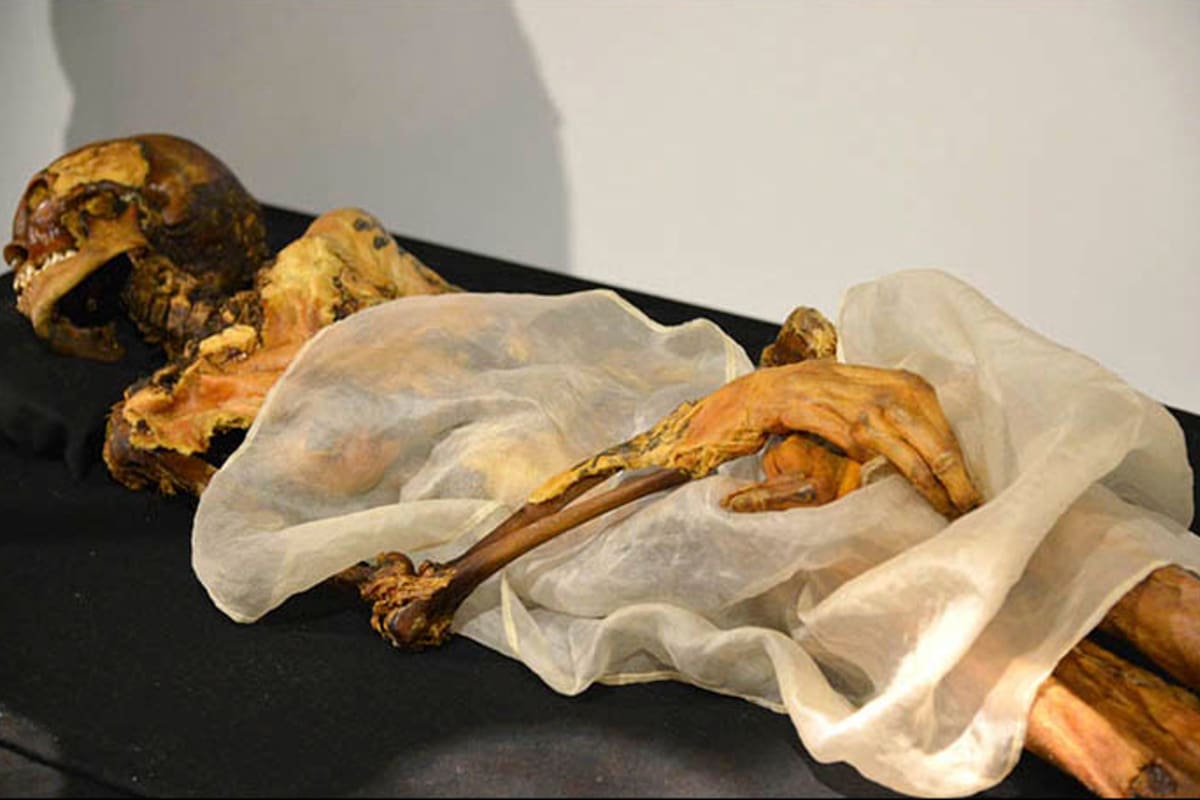 La "princesa de Ukok", una momia de 2500 años de edad con el cuerpo tatuado y hallada en 1993 con una bolsa de marihuana y joyas (Alexander Tyryshkin)