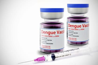 La Anmat aprobó la vacuna de Takeda contra el dengue