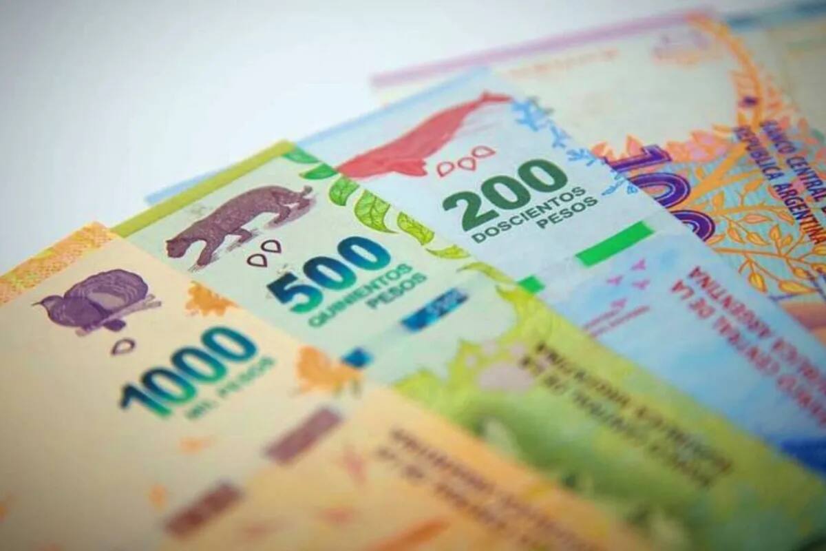 La Anses entrega el refuerzo alimentario según la terminación del DNI de los beneficiarios