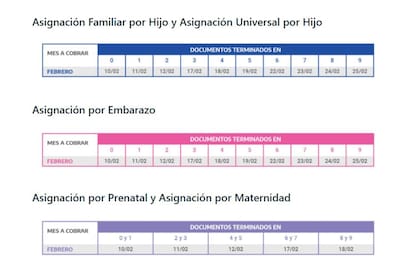 La Anses publicó su calendario de pagos para febrero