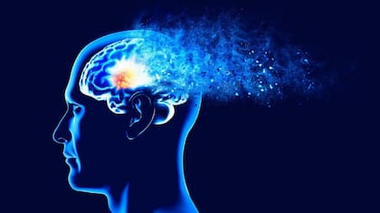 La ansiedad, según nuevo estudio, incide sobre la memoria