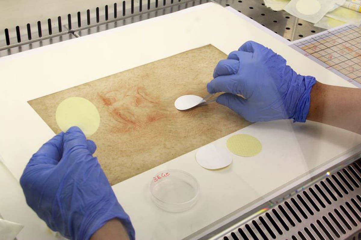 La antigüedad de dibujos como este Autoritratto, con más de 500 años, complicó la toma de muestras