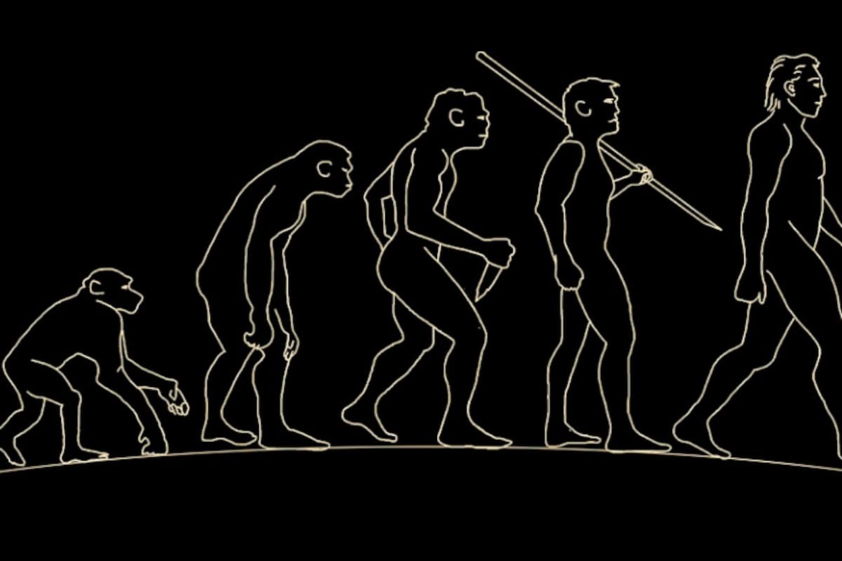 La antropología, cuyo día se celebra este 27 de julio en la Argentina, busca el estudio integral del ser humano y analiza su evolución, entre otras cosas