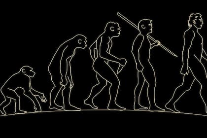 La antropología, cuyo día se celebra este 27 de julio en la Argentina, busca el estudio integral del ser humano y analiza su evolución, entre otras cosas