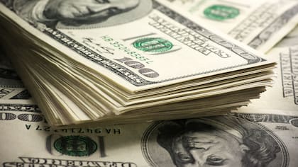 La aparición de la oferta de los bancos oficiales hace retroceder a la divisa que se pacta a $19,71 en el mercado minorista