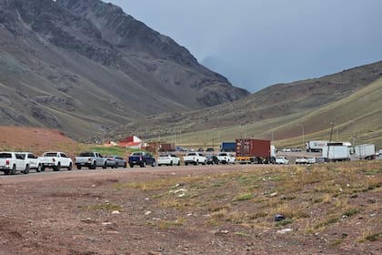 La aparición de un ejemplar del mosquito vector del dengue complica el tránsito hacia Chile por el túnel Cristo Redentor