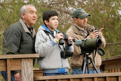La apertura al público será gradual: en un año comenzarán las visitas guiadas y el avistamiento de aves