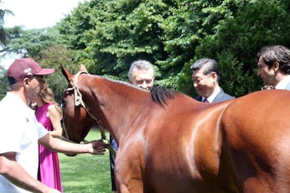 La apertura de China para la exportación de equinos en pie abre una oportunidad para la Argentina en ese mercado