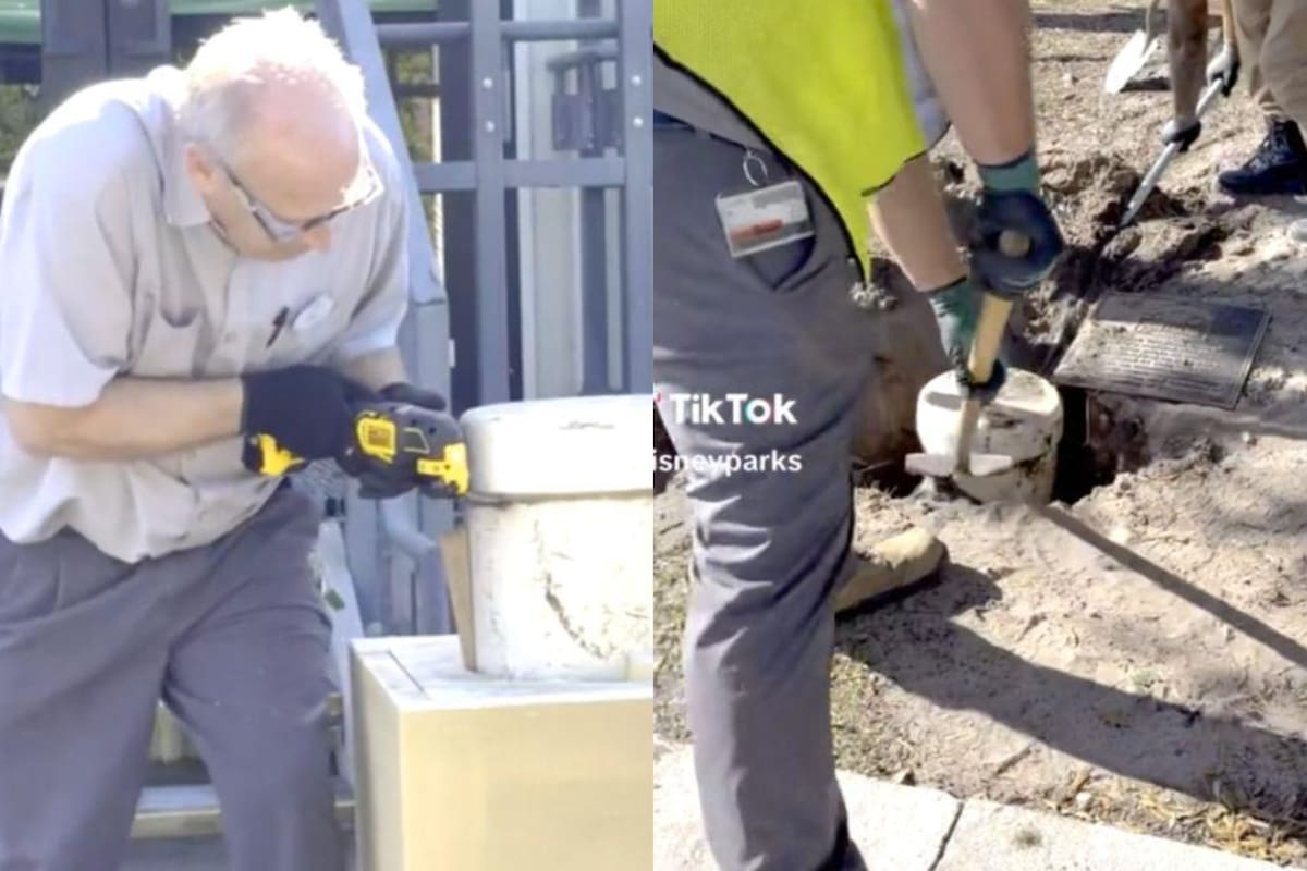 La apertura de la cápsula se realizó para celebrar los 25 años del parque Animal Kingdom (Foto:@disneyparks)