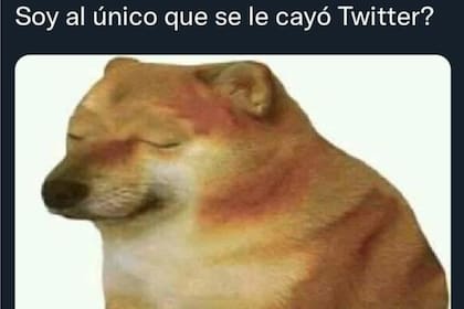 La aplicación Twitter registró fallas a nivel mundial y los usuarios idearon memes al respecto
