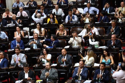 La aprobación de la ley ómnibus en la Cámara de Diputados