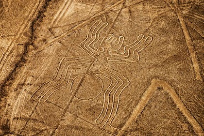 La Araña, reconocida figura de las Líneas de Nazca