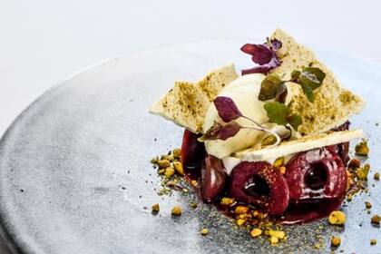 La arboleda, en Auckland Central, Nueva Zelanda, está posicionada en el puesto 15 del ranking de TripAdvisor