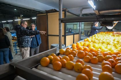 “La Argentina accedería al mercado estadounidense en contraestación, por lo que su ingreso no implicaría una competencia directa con la producción local estadounidense”, remarcaron Michel y Bahl en la carta