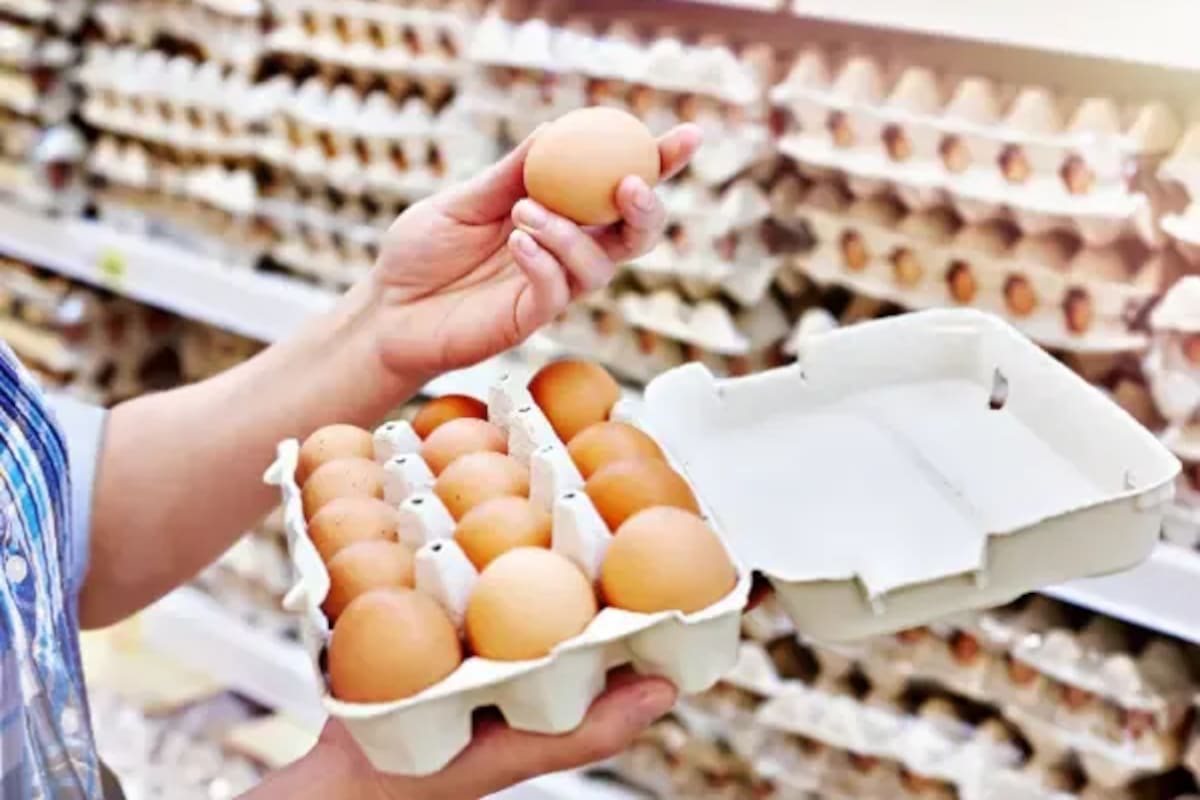 La Argentina completó la cuota de exportación de huevos a Europa