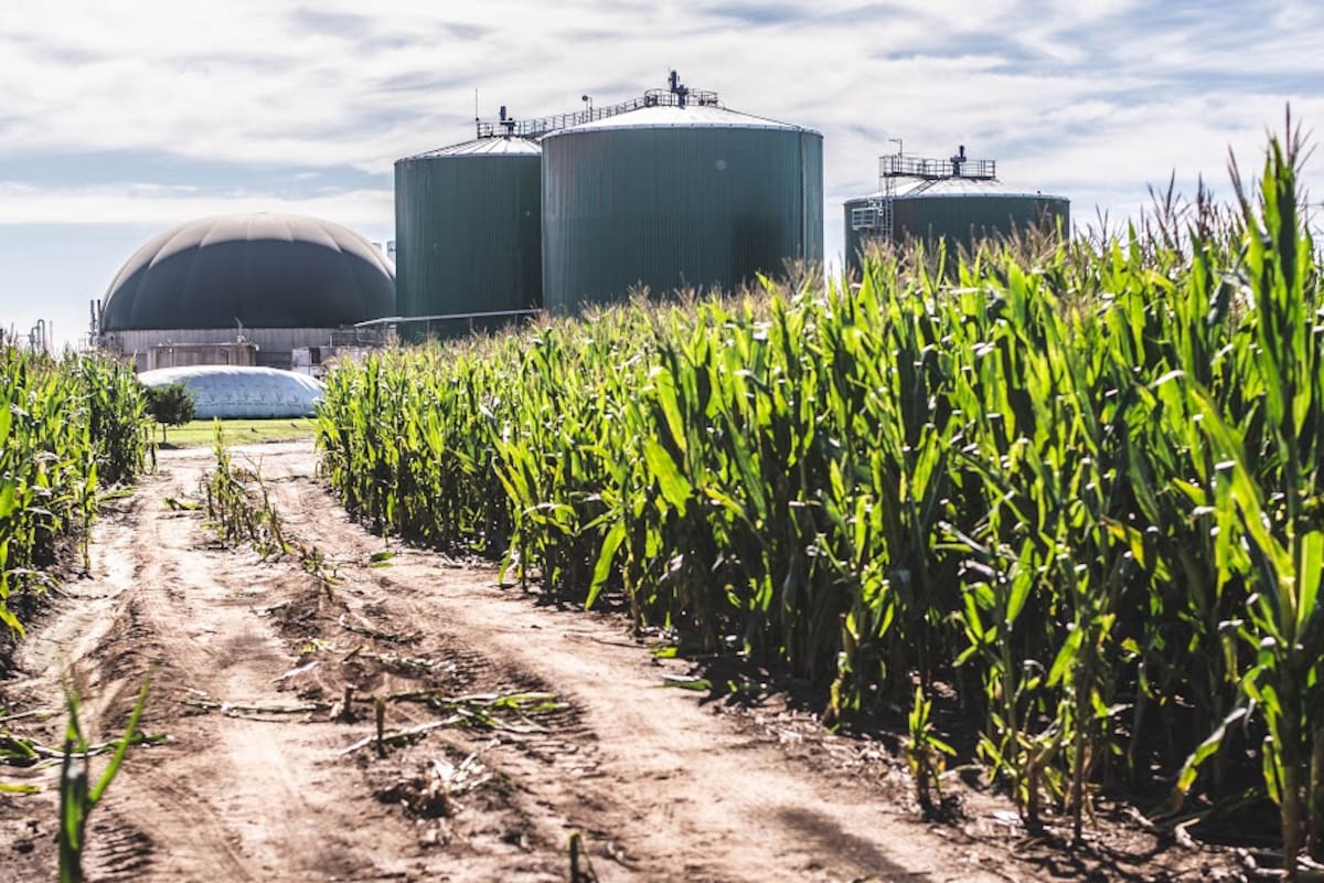 La Argentina cuenta con 30 plantas productoras de biogás