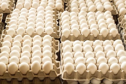 La Argentina es el 5º consumidor mundial de huevos. En la actualidad, se consumen 301 unidades per cápita al año